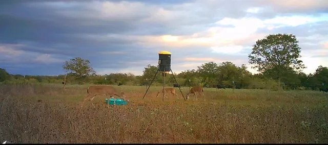 $405,000 | 3747 Sparta Field Road, Flatonia, TX 78941