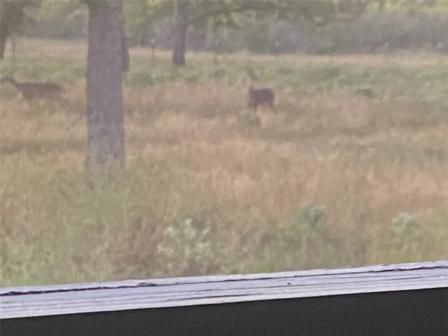 a view of ocean view