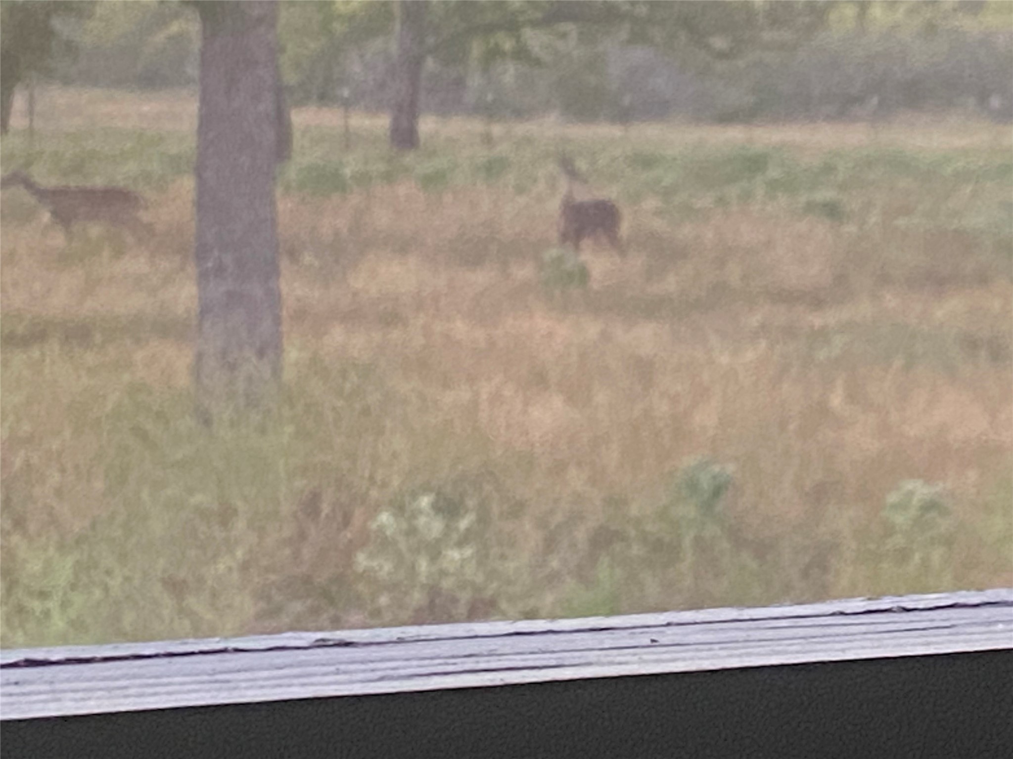 3747 Sparta Field Road Flatonia, TX 78941 - Photo 4 of 37 a bathroom with a bathtub and shower