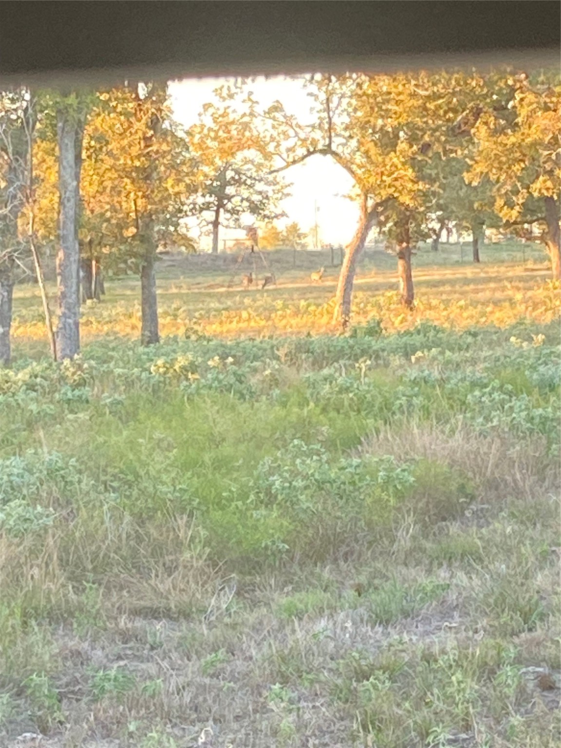 3747 Sparta Field Road Flatonia, TX 78941 - Photo 5 of 37 a view of ocean view