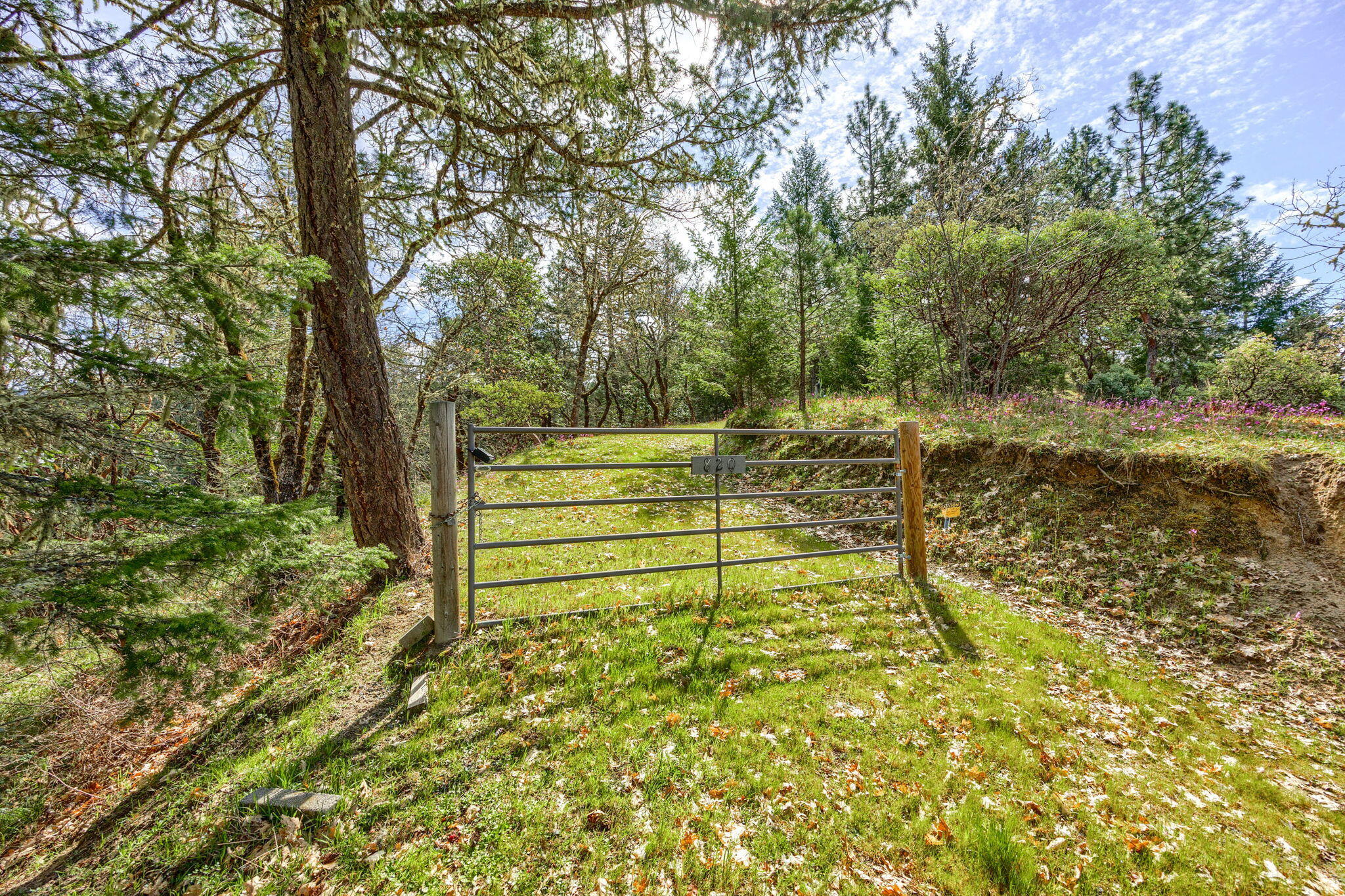 820 South Espey Road Grants Pass, OR 97527 - Photo 12 of 25 12-web-or-mls-ApxSER (12)