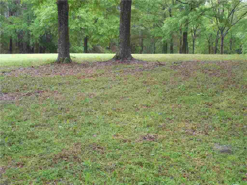 1682 Ebenezer Road Florien, LA 71429 - Photo 18 of 24 Gallery Image 18