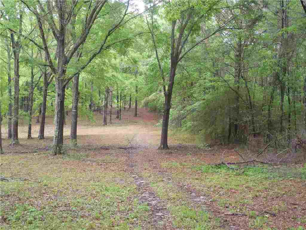 1682 Ebenezer Road Florien, LA 71429 - Photo 20 of 24 Gallery Image 20