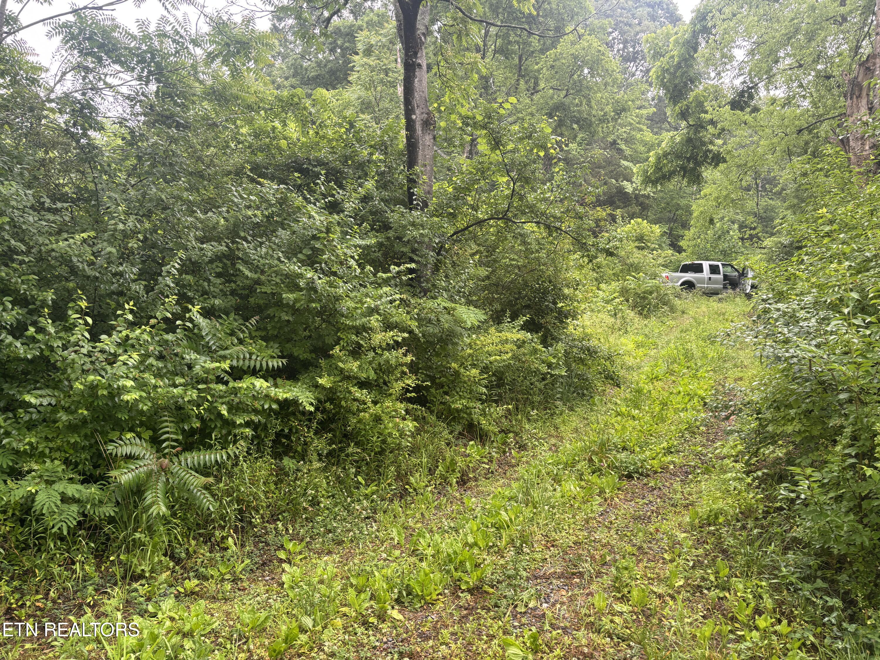 Morrell Springs Road Newport, TN 37821 - Photo 8 of 18 IMG_0072