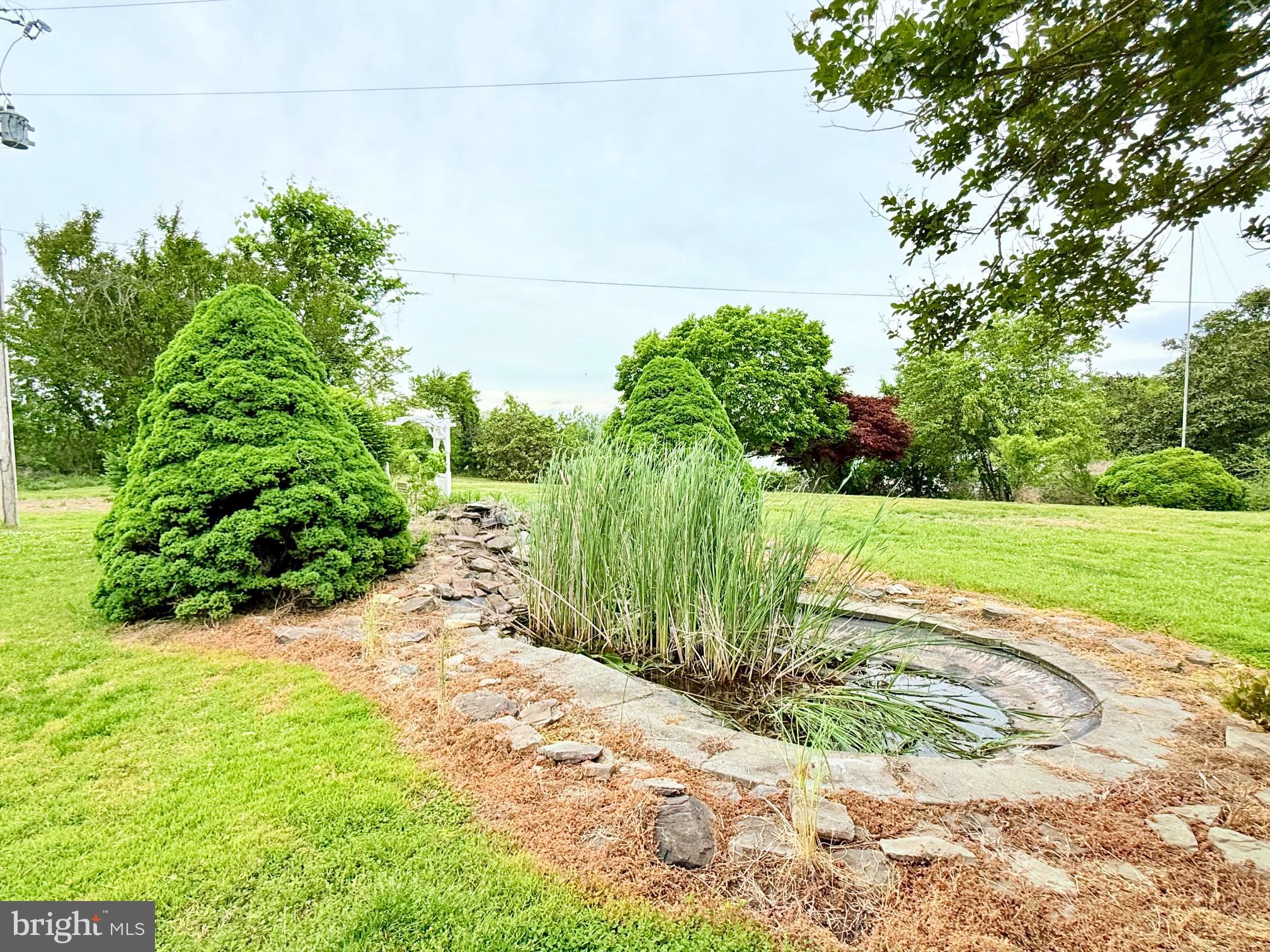 48724 Curleys Road Ridge, MD 20680 - Photo 44 of 47 a view of a backyard with plants
