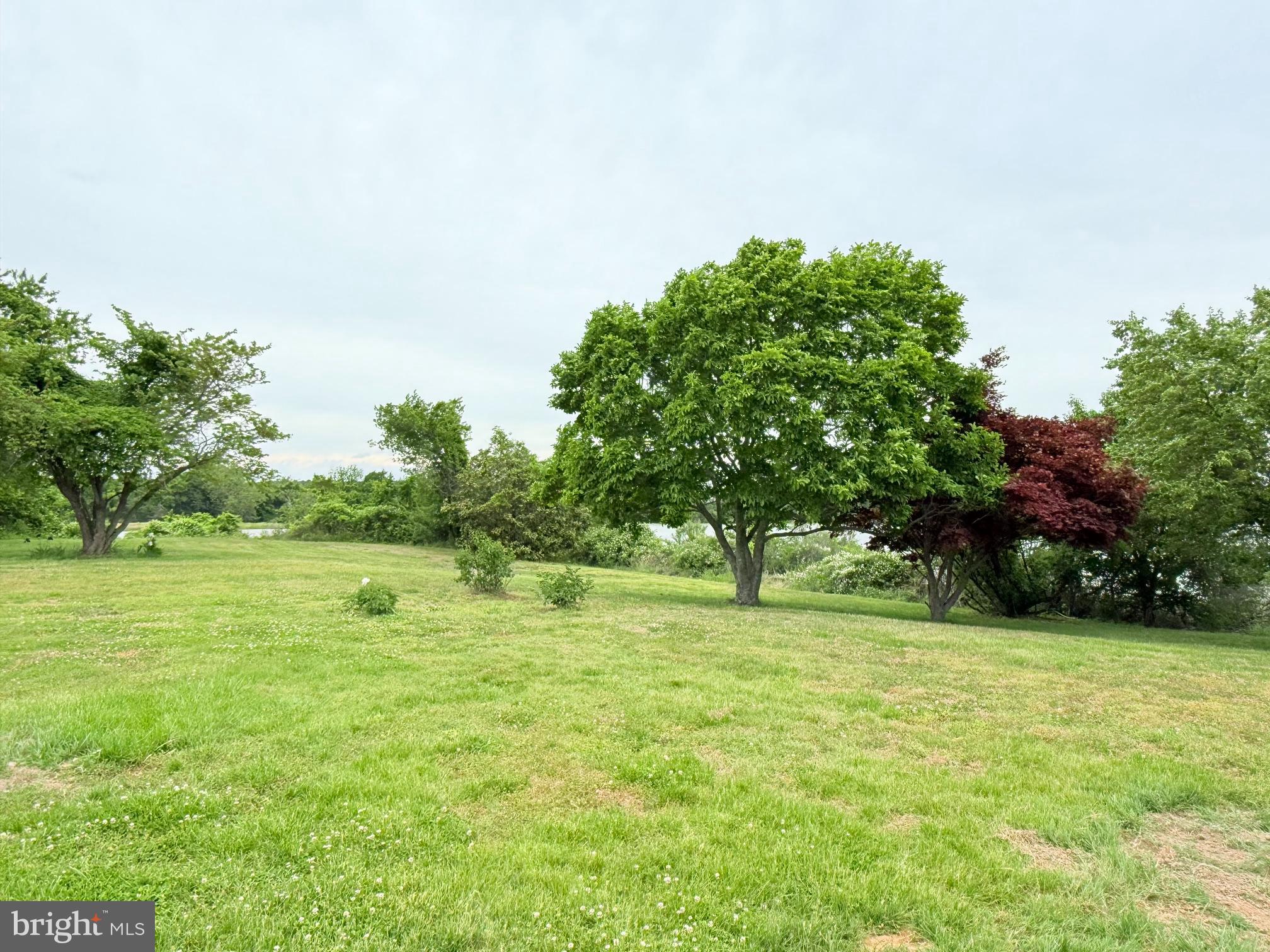 48724 Curleys Road Ridge, MD 20680 - Photo 45 of 47 a backyard of a house with lots of green space