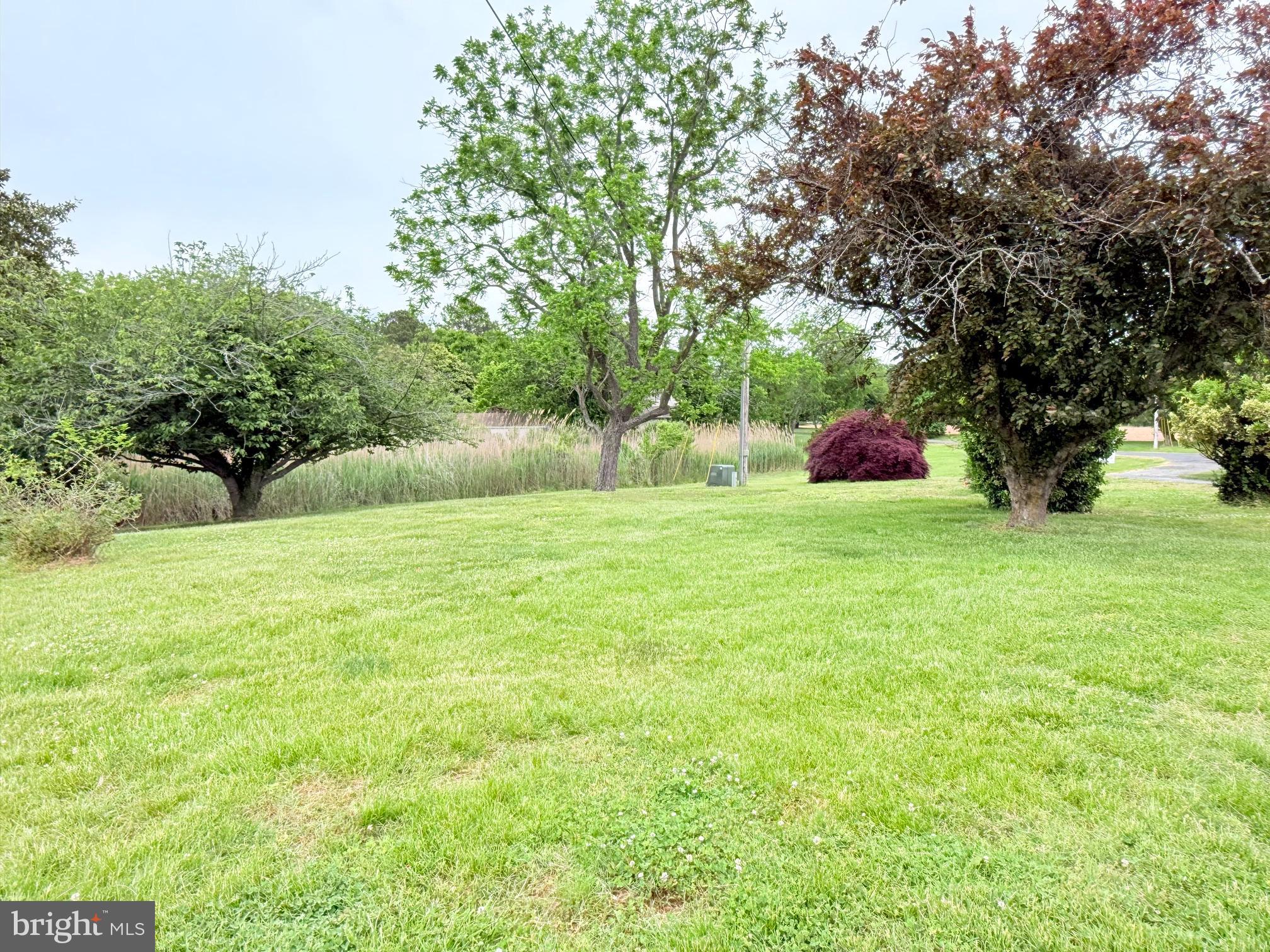 48724 Curleys Road Ridge, MD 20680 - Photo 47 of 47 a view of garden with trees
