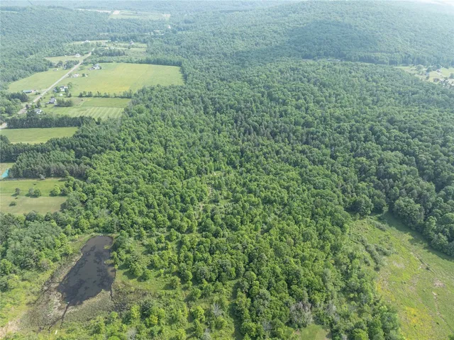 $240,000 | 1635 Walker Road, Endicott, NY 13760