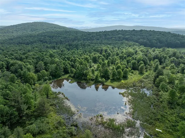 $240,000 | 1635 Walker Road, Endicott, NY 13760