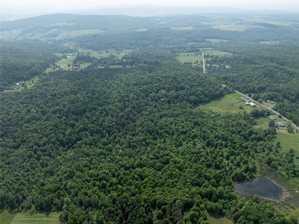 1635 Walker Road Endicott, NY 13760 - Photo 10 of 15