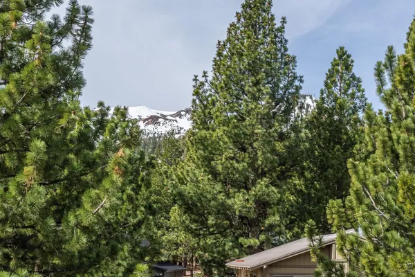 a view of roof deck with two couches and wooden floor