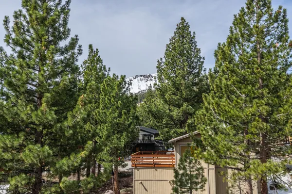 a view of a house with a yard and a tree