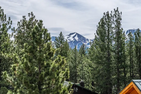 a view of house and outdoor space