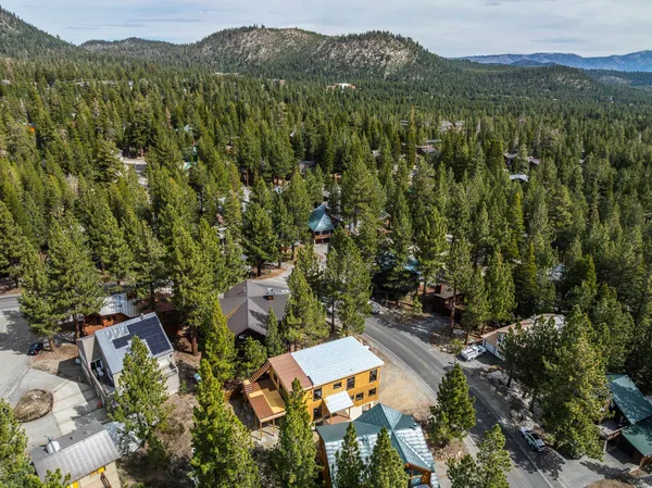 an outdoor space with plants