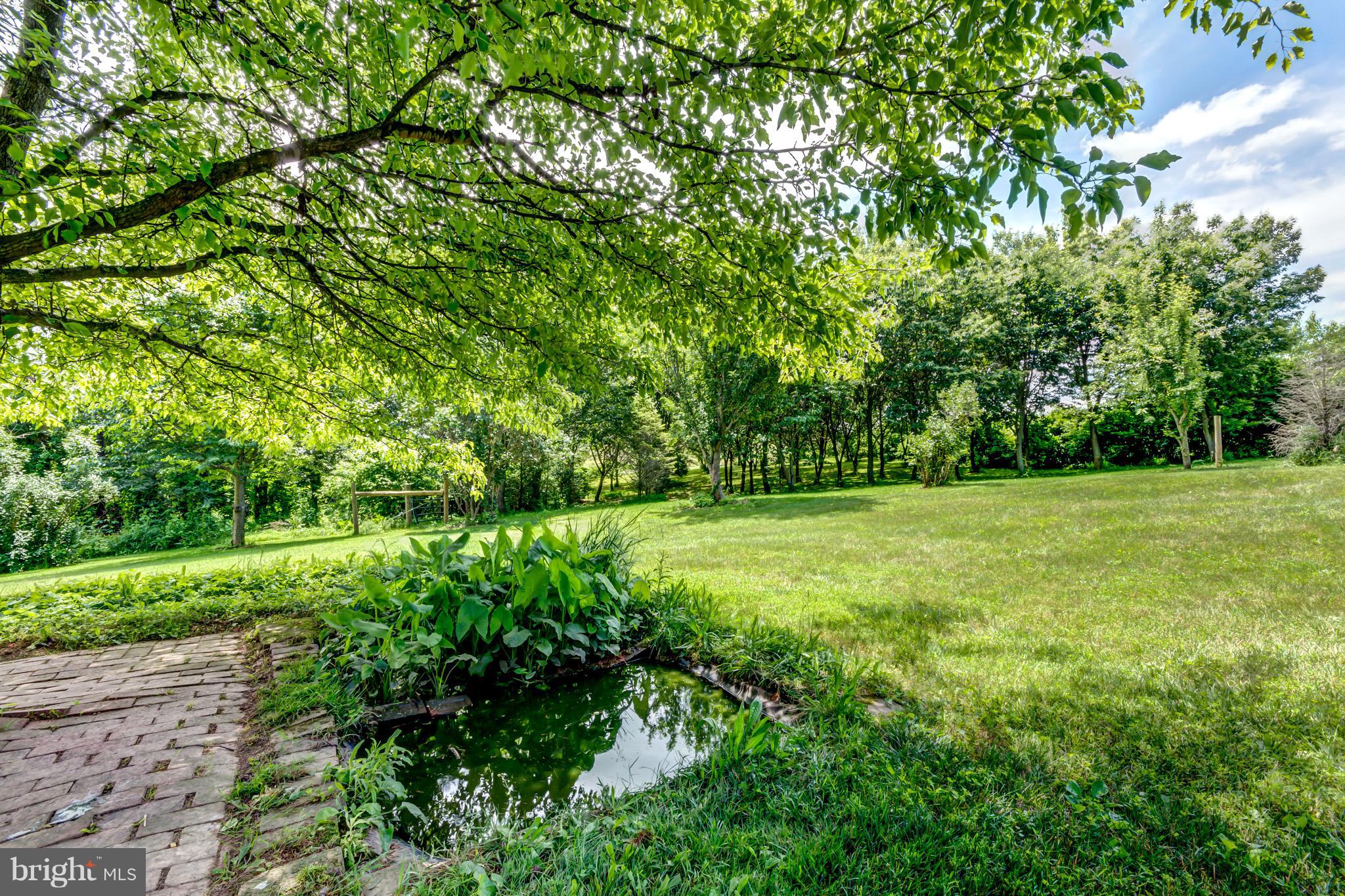 3723 Old Gamber Road Finksburg, MD 21048 - Photo 17 of 23 duck pond