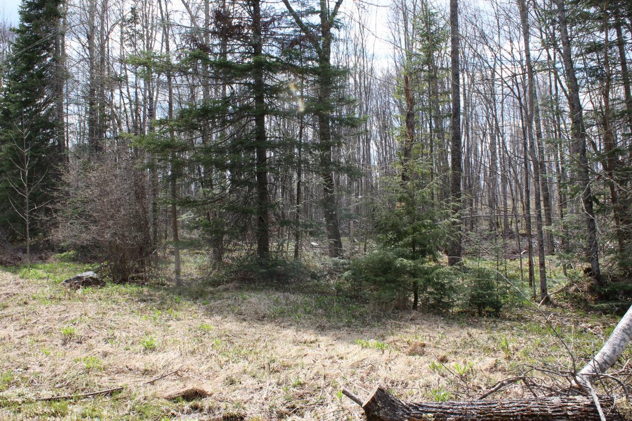 36-acres Charleys Road Phelps, WI 54554 - Photo 16 of 17 Gallery Image 16