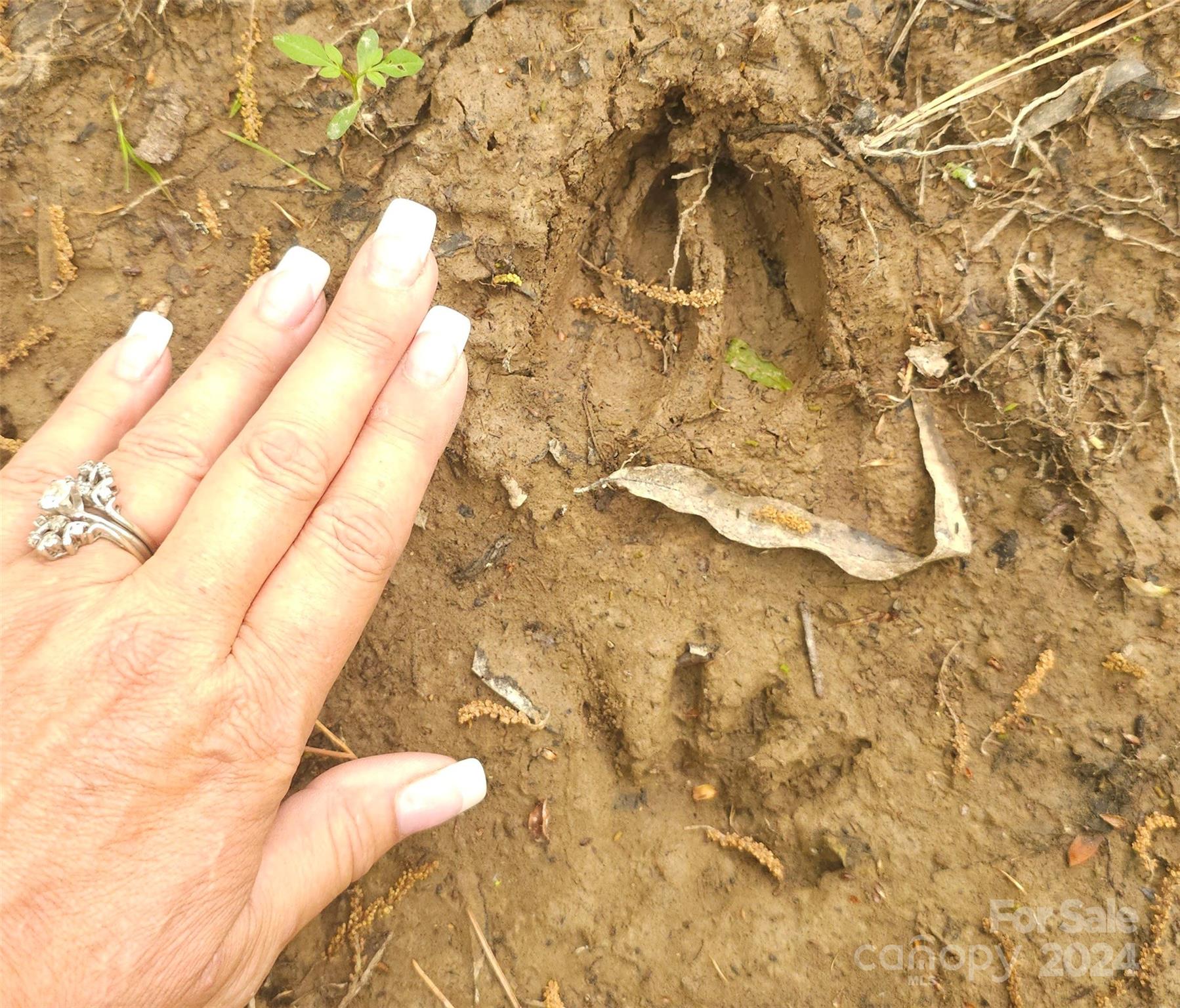 5013 Medlin Road Monroe, NC 28112 - Photo 4 of 30 a bathroom with a bathtub
