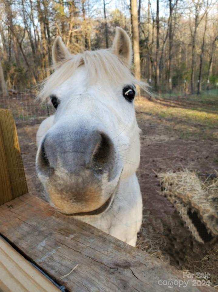 5013 Medlin Road Monroe, NC 28112 - Photo 9 of 30 a view of a wooden door