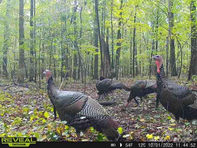 5013 Medlin Road Monroe, NC 28112 - Photo 10 of 30 a view of an outdoor sitting area with fire pit