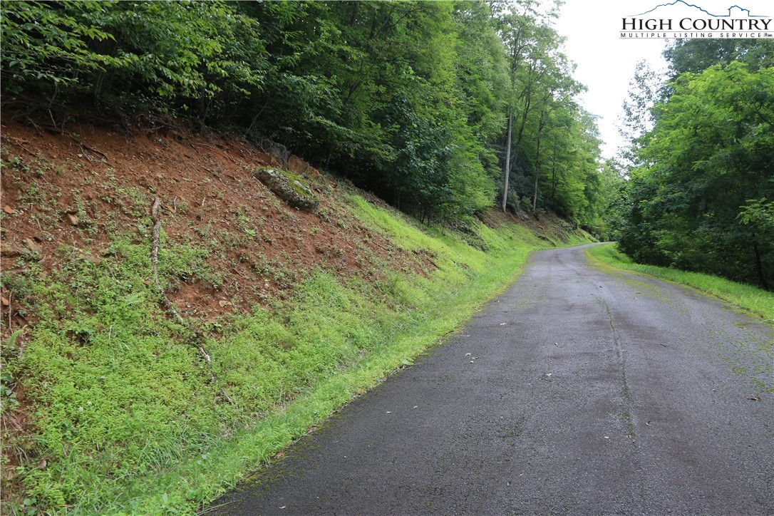 Elk Mountain Loop Newland, NC 28657 - Photo 16 of 17 a view of a yard with plants and a bench