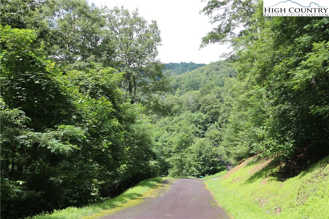 Elk Mountain Loop Newland, NC 28657 - Photo 4 of 17 a view of a yard with plants and a bench
