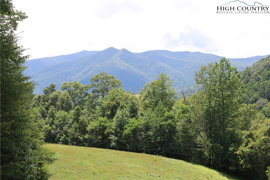 Elk Mountain Loop Newland, NC 28657 - Photo 5 of 17 a view of a mountain in the distance in a field