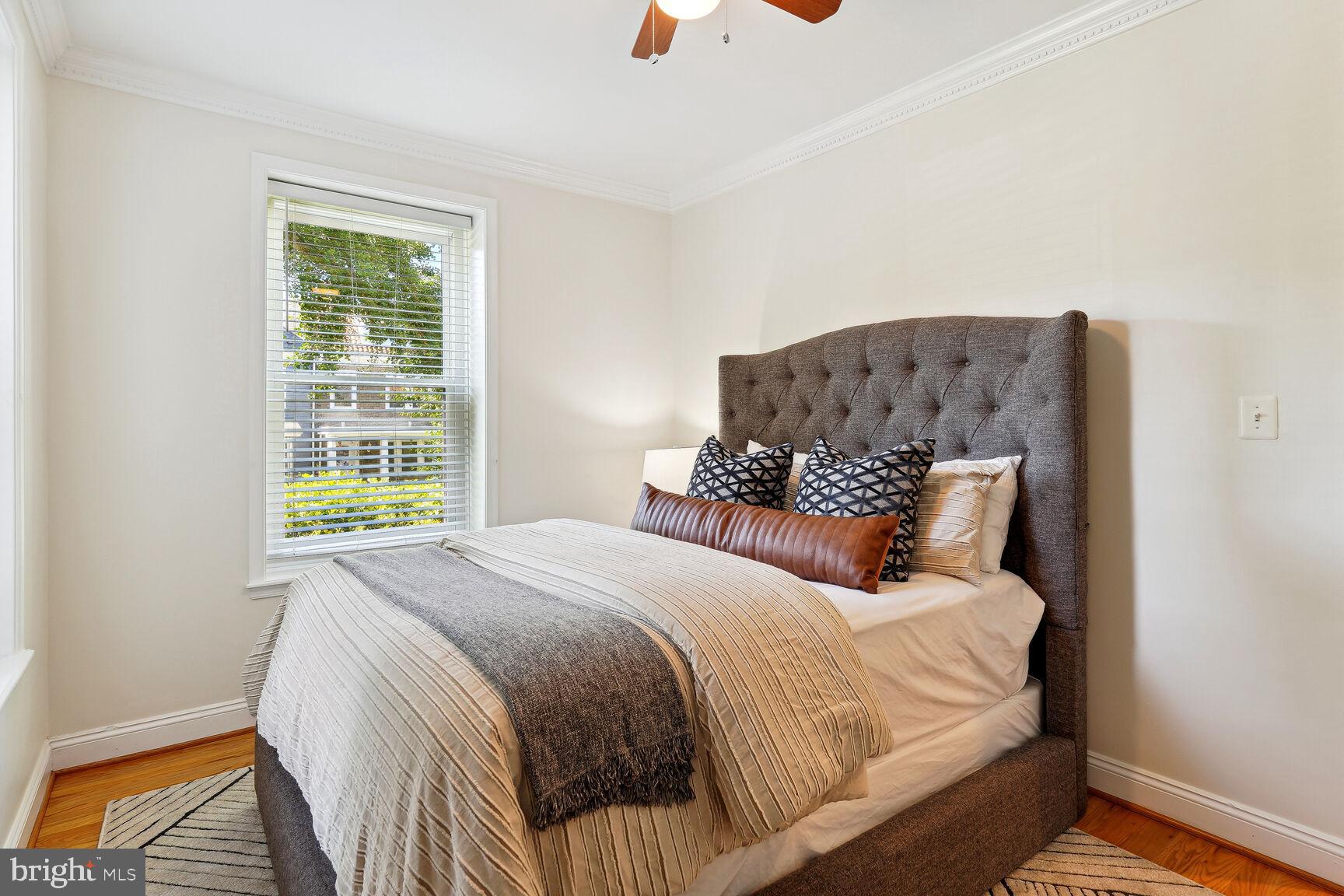 1437 Spring Road Northwest, Unit 11 Washington, DC 20010 - Photo 8 of 15 South facing windows for plenty of sunlight!