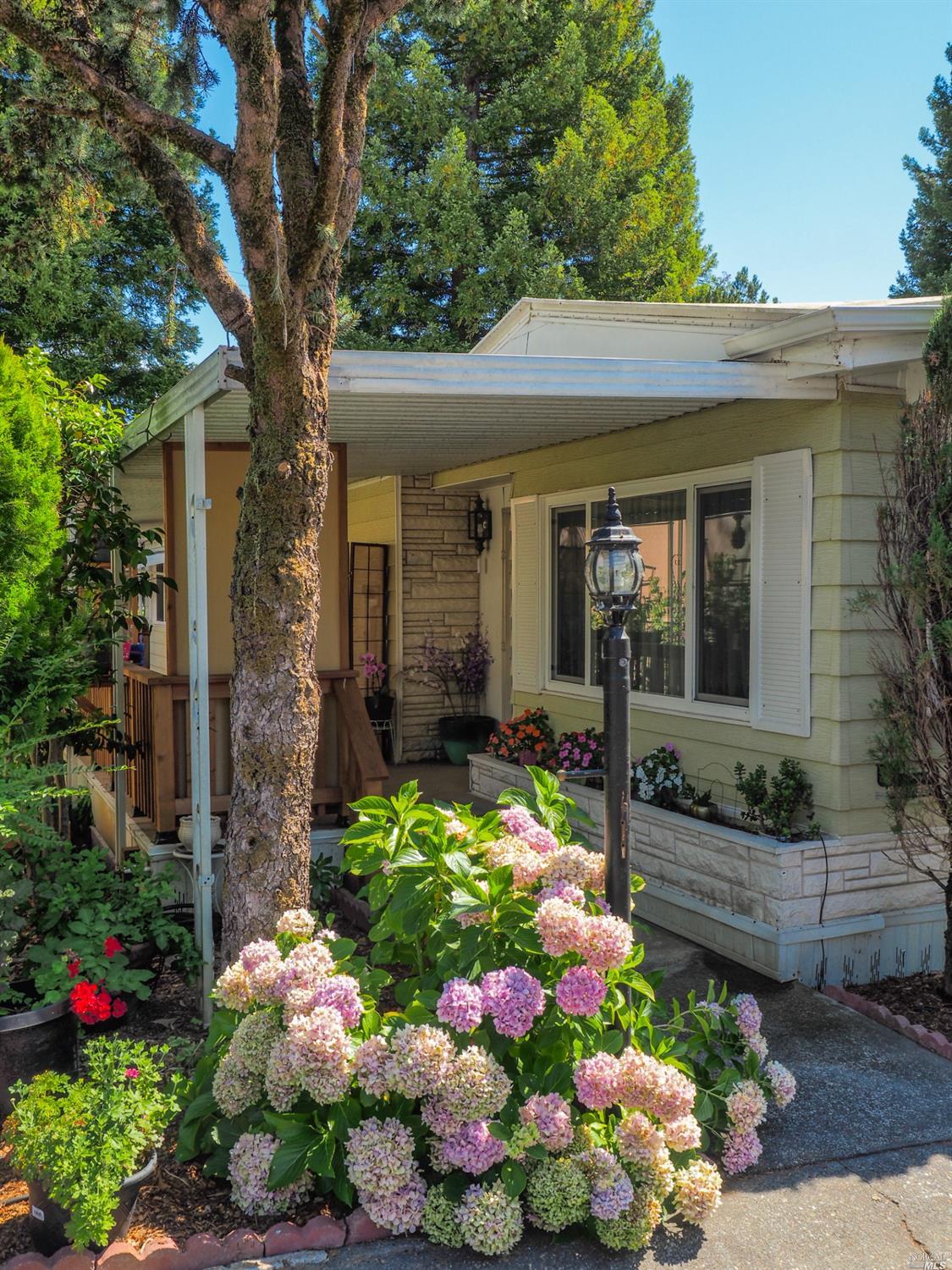 8800 Green Valley Road, Unit 50 Sebastopol, CA 95472 - Photo 1 of 1 Gallery Image 1
