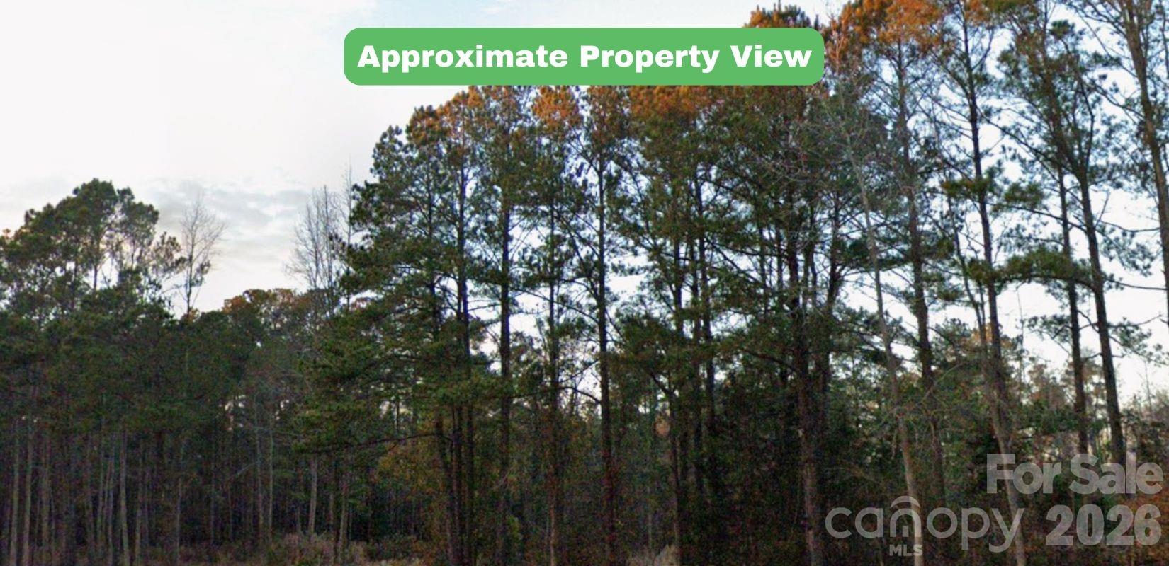 0 Pine Ridge Burgaw, NC 28425 - Photo 4 of 19