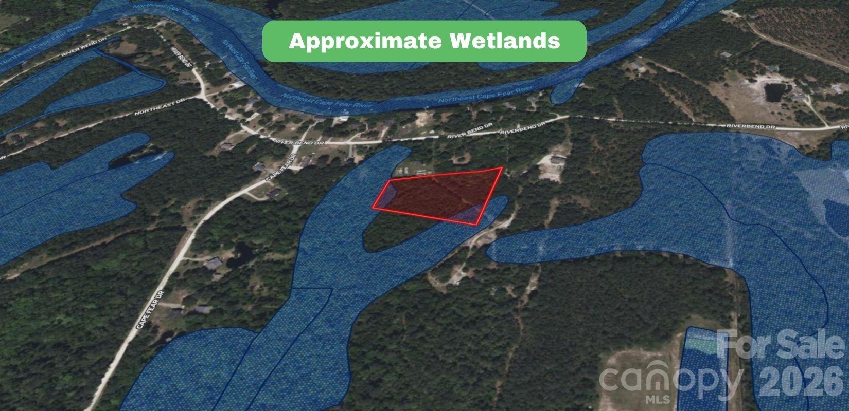 0 Pine Ridge Burgaw, NC 28425 - Photo 7 of 19