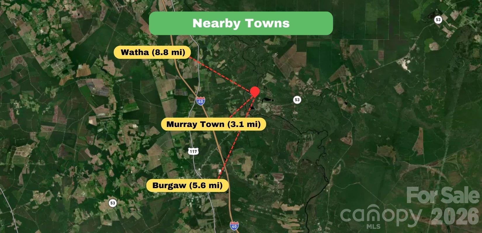 0 Pine Ridge Burgaw, NC 28425 - Photo 9 of 19