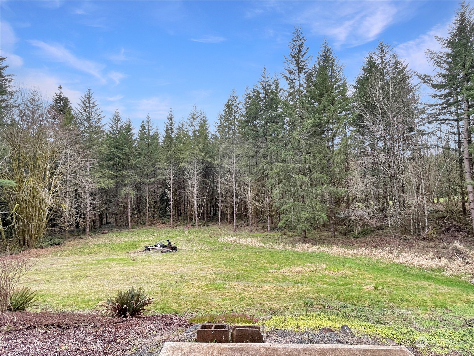 122 Cedar Springs Road Chehalis, WA 98532 - Photo 35 of 40 a backyard of a house with lots of green space and fountain