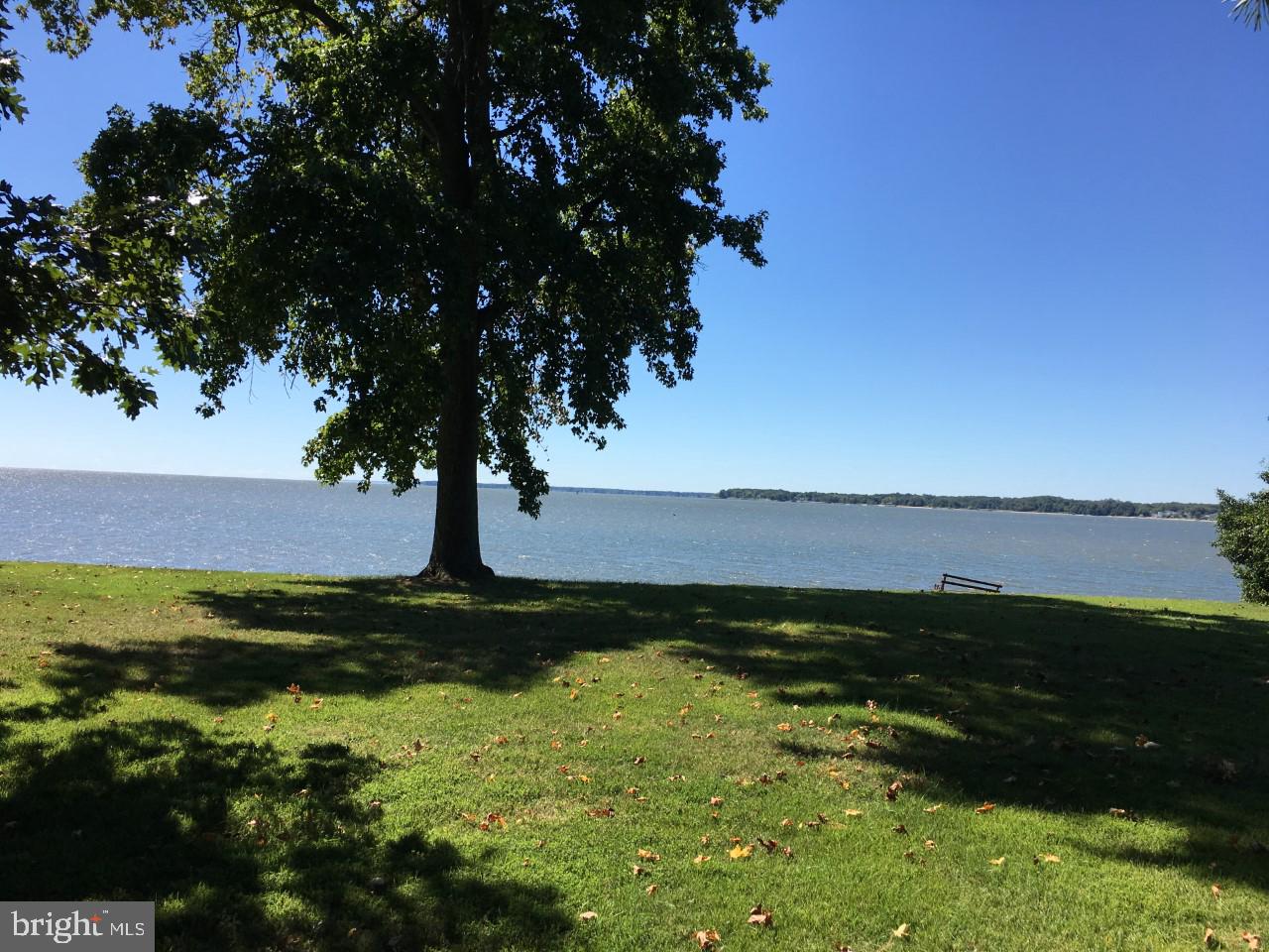 3736 Thomas Point Road Annapolis, MD 21403 - Photo 16 of 49 Gracious front lawn w/gentle slope to water's edge