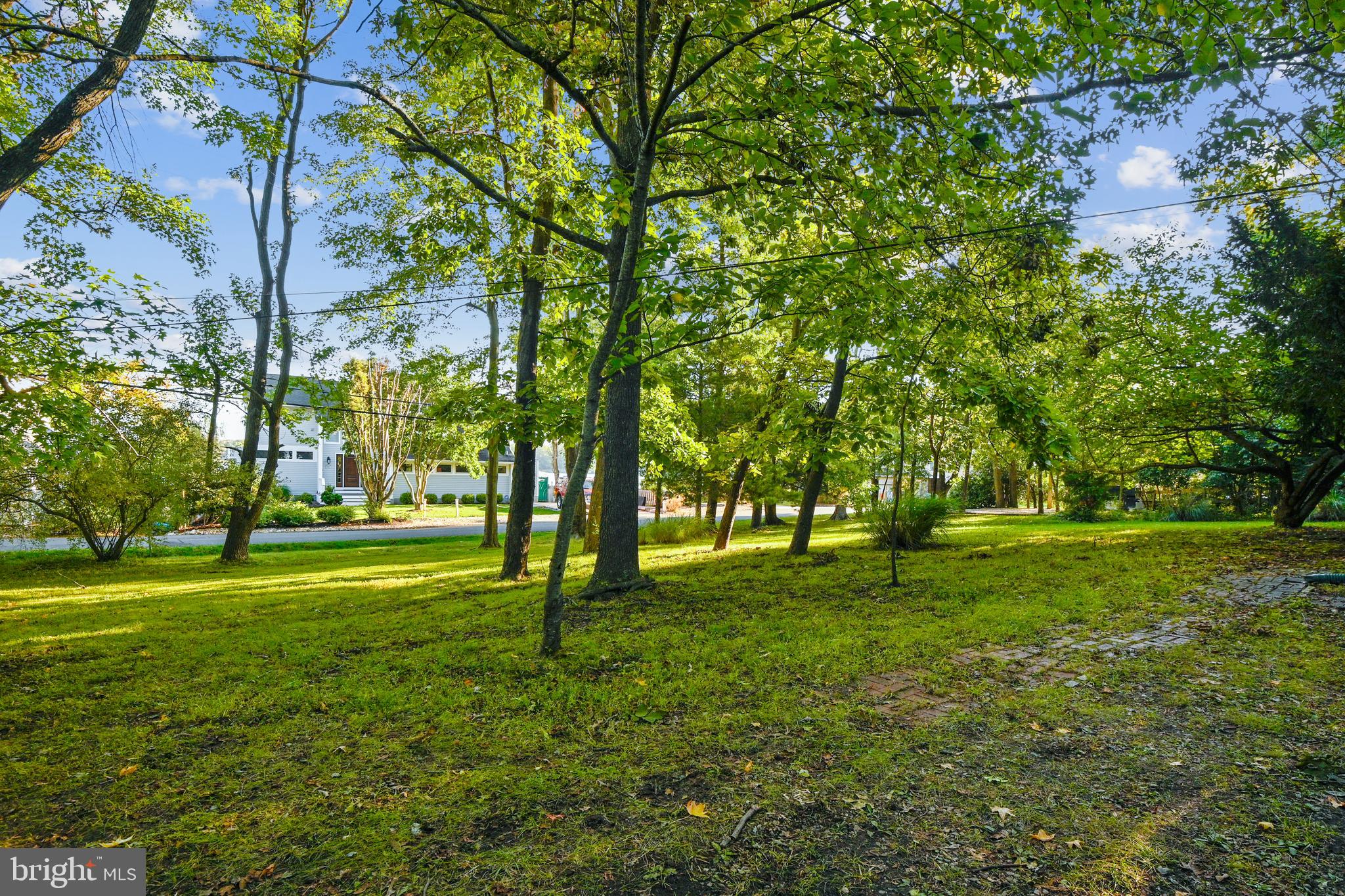 3736 Thomas Point Road Annapolis, MD 21403 - Photo 23 of 49 Street side lawn
