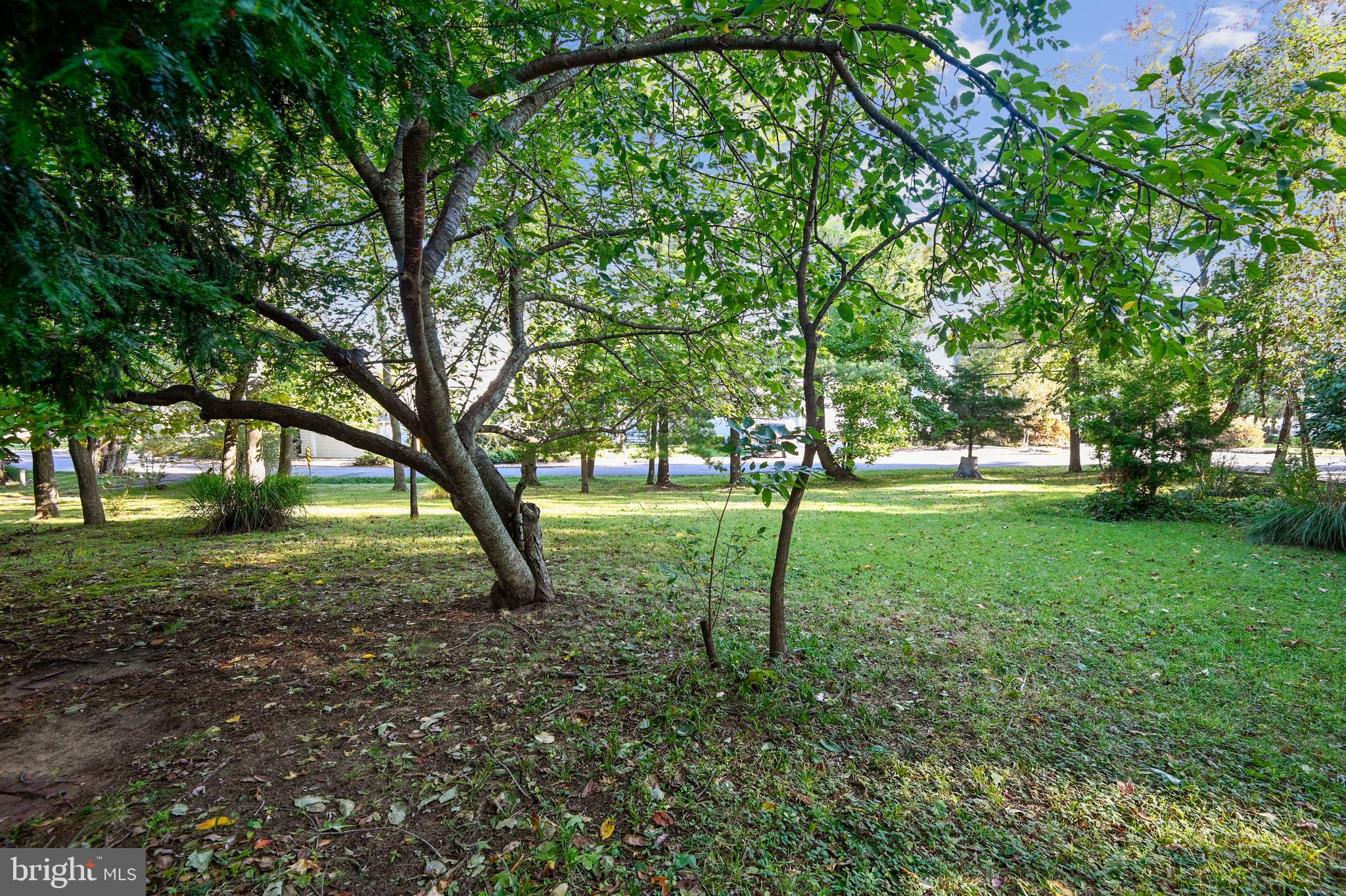 3736 Thomas Point Road Annapolis, MD 21403 - Photo 24 of 49 Another view of street side lawn