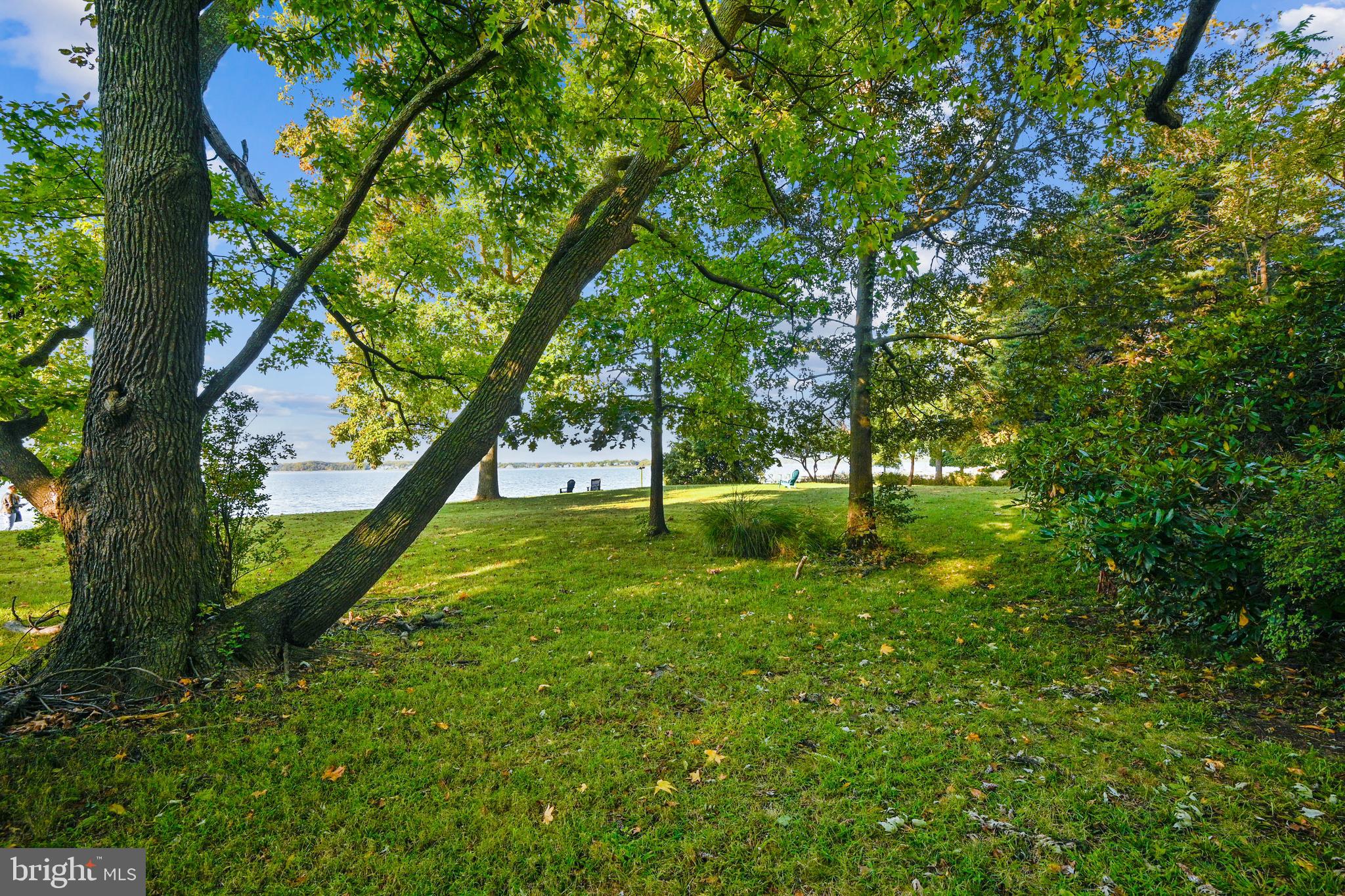 3736 Thomas Point Road Annapolis, MD 21403 - Photo 31 of 49 Front lawn