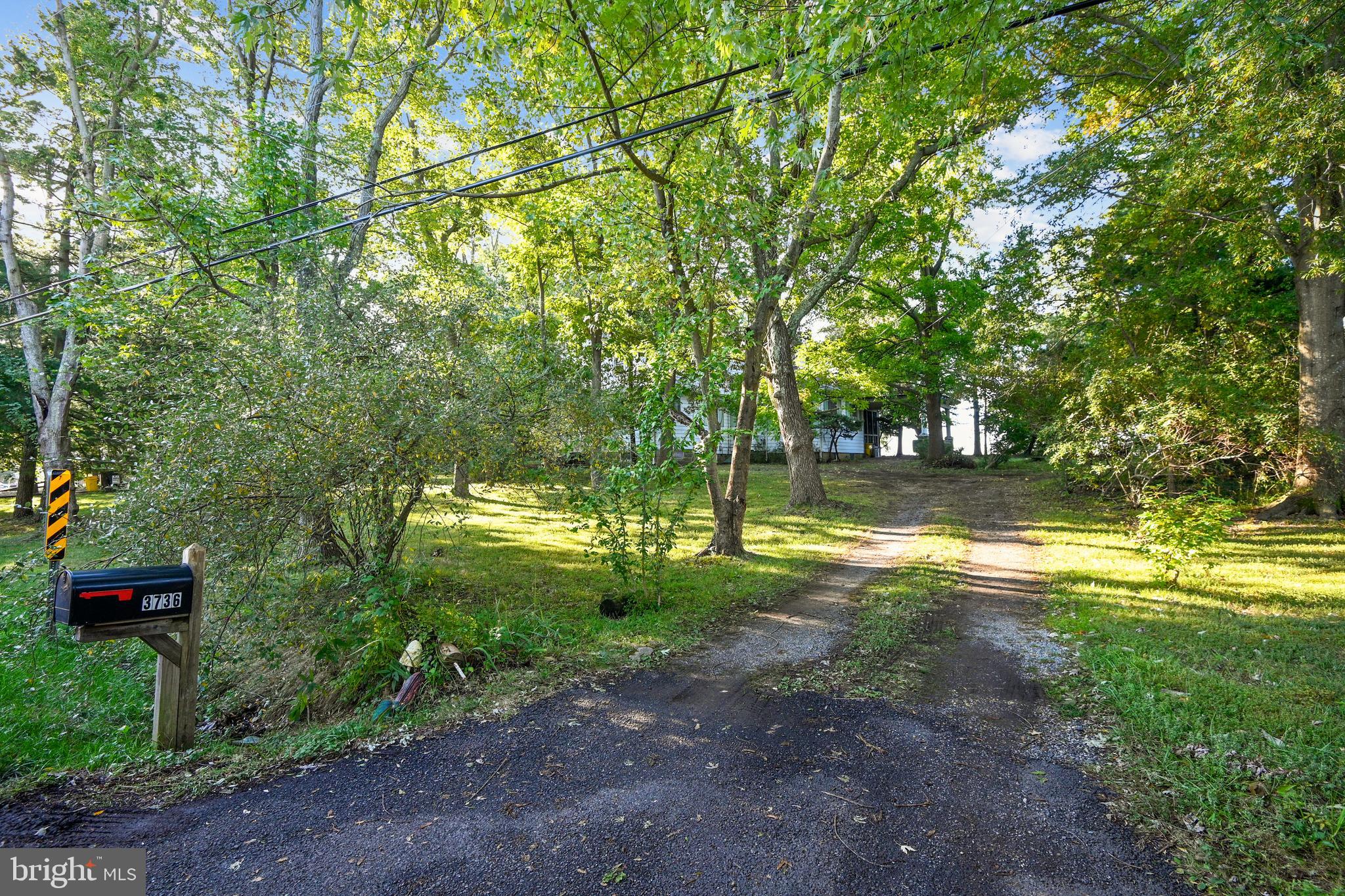 3736 Thomas Point Road Annapolis, MD 21403 - Photo 8 of 49 Driveway off Thomas Point Road