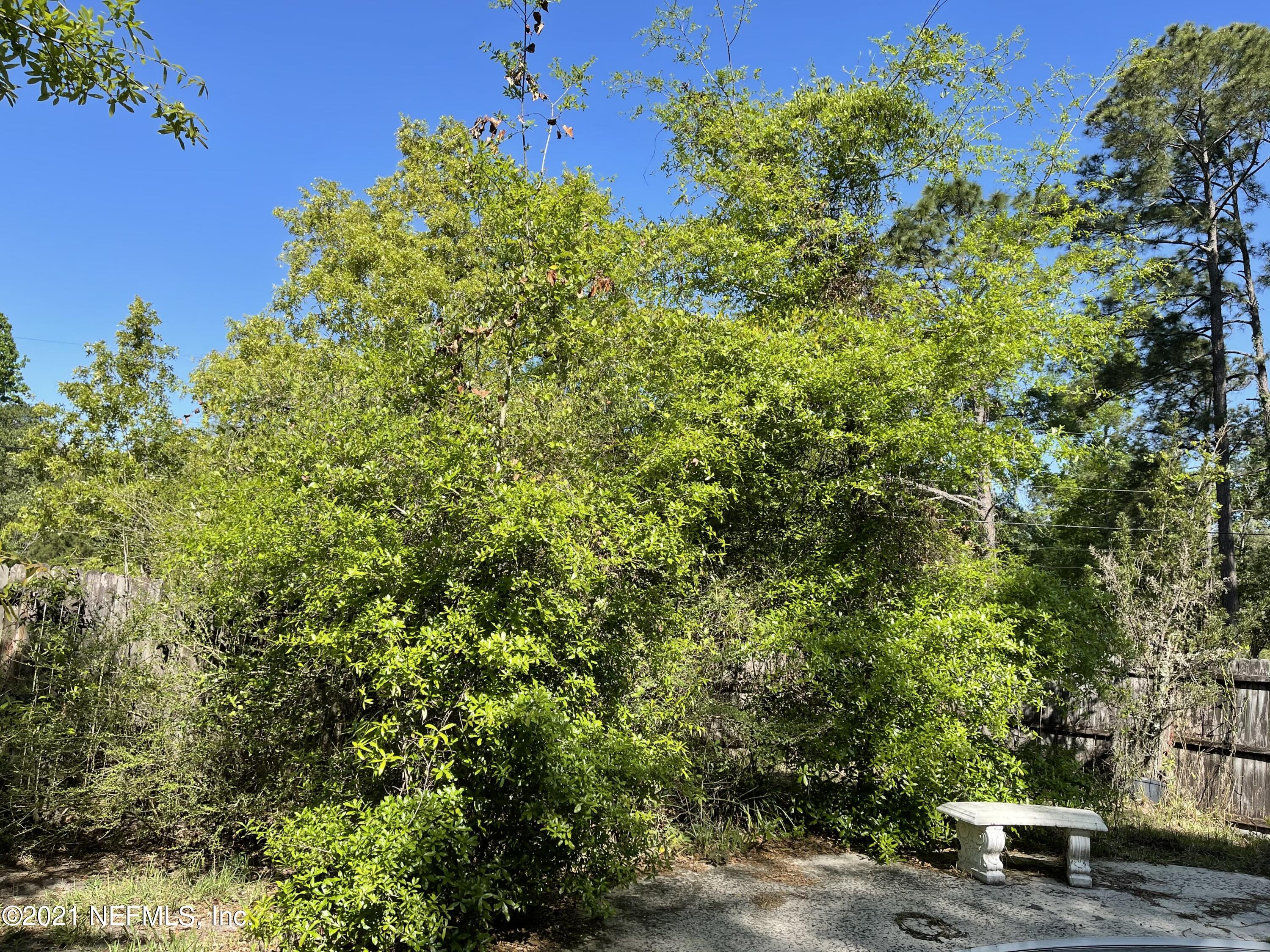 335 Wesley Road Green Cove Springs, FL 32043 - Photo 24 of 39 Backyard by pool