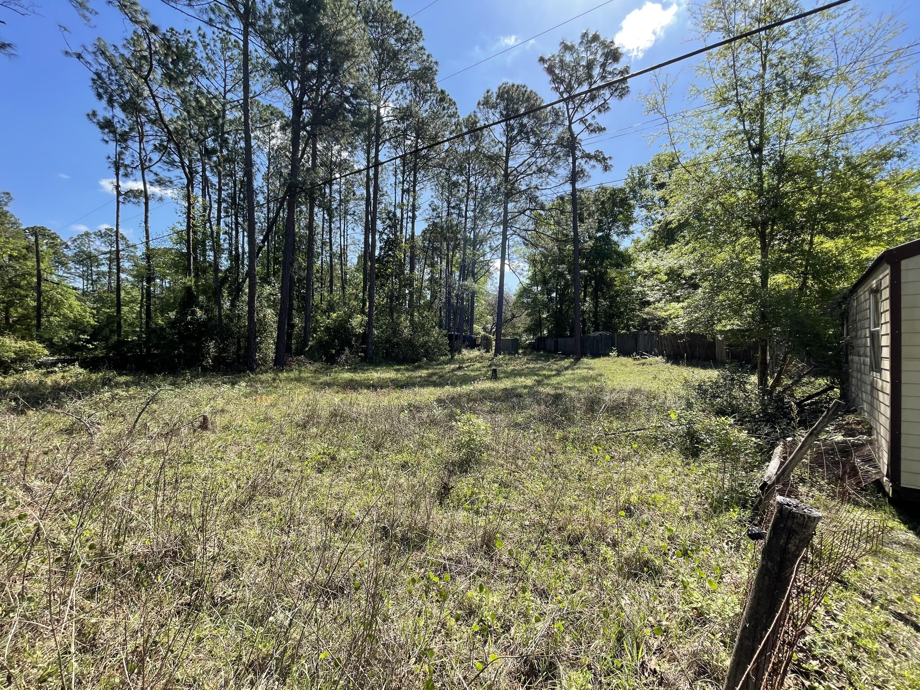 335 Wesley Road Green Cove Springs, FL 32043 - Photo 30 of 39 Side pasture