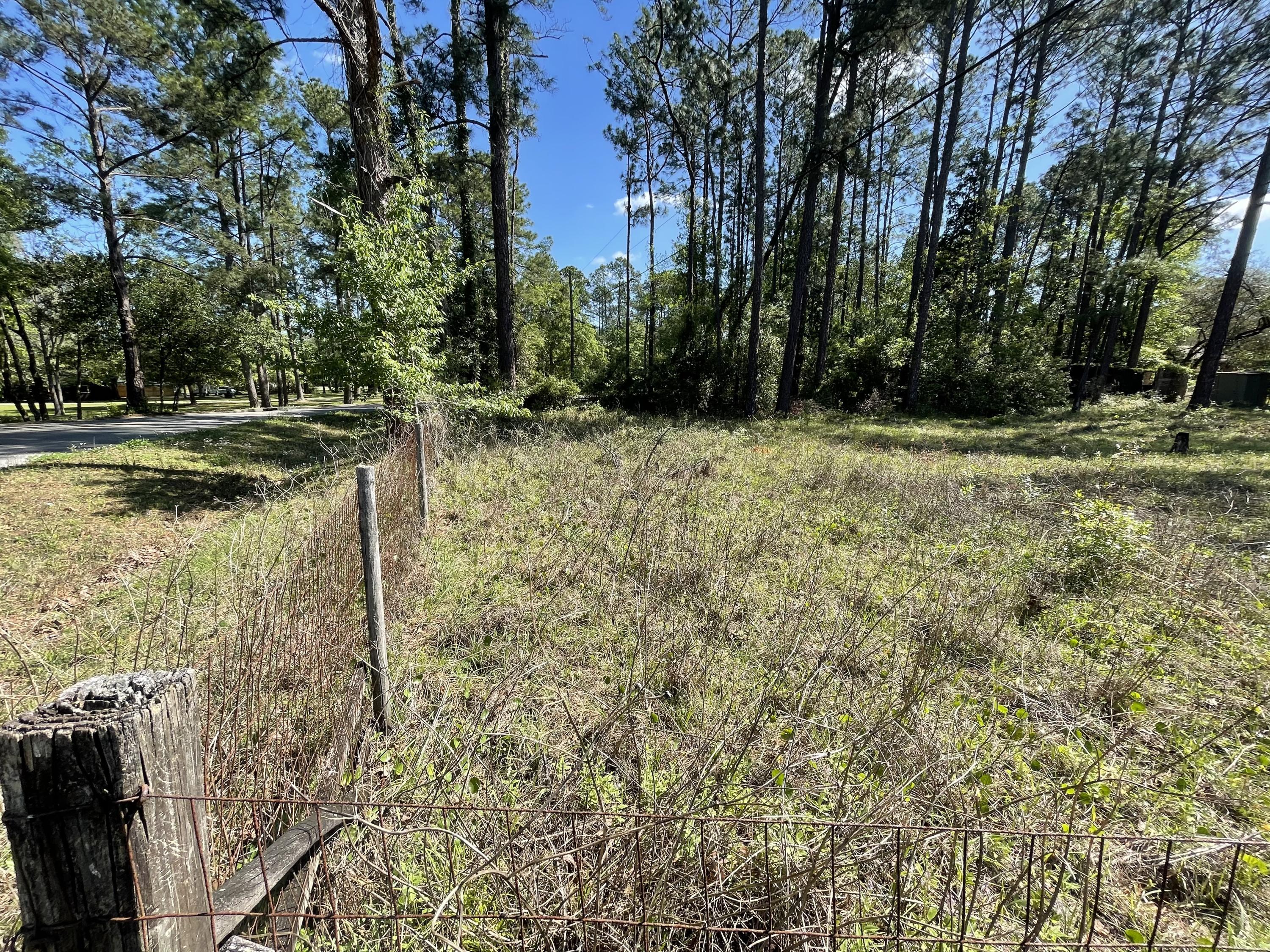 335 Wesley Road Green Cove Springs, FL 32043 - Photo 31 of 39 Side of property