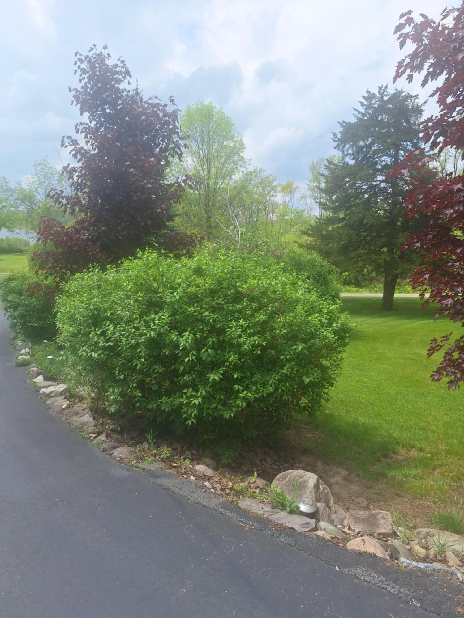 5211 Long Lake Road Reading, MI 49274 - Photo 107 of 107 att.Pua_PakNM55zIc1i_2BPoz9bOczFxmxdx91w