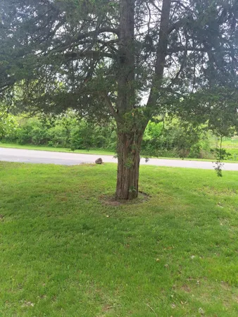 $879,900 | 5211 Long Lake Road, Reading, MI 49274