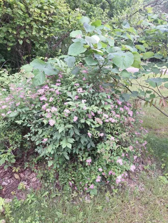 $879,900 | 5211 Long Lake Road, Reading, MI 49274