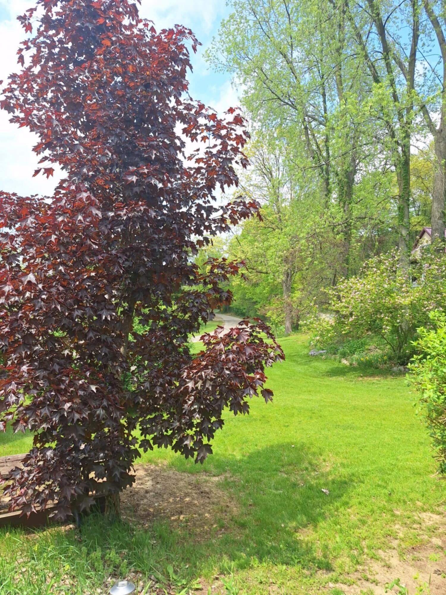 5211 Long Lake Road Reading, MI 49274 - Photo 87 of 107 att.YrpAey9-z7nU9FUyahXTFs917s0MRz04V2mp