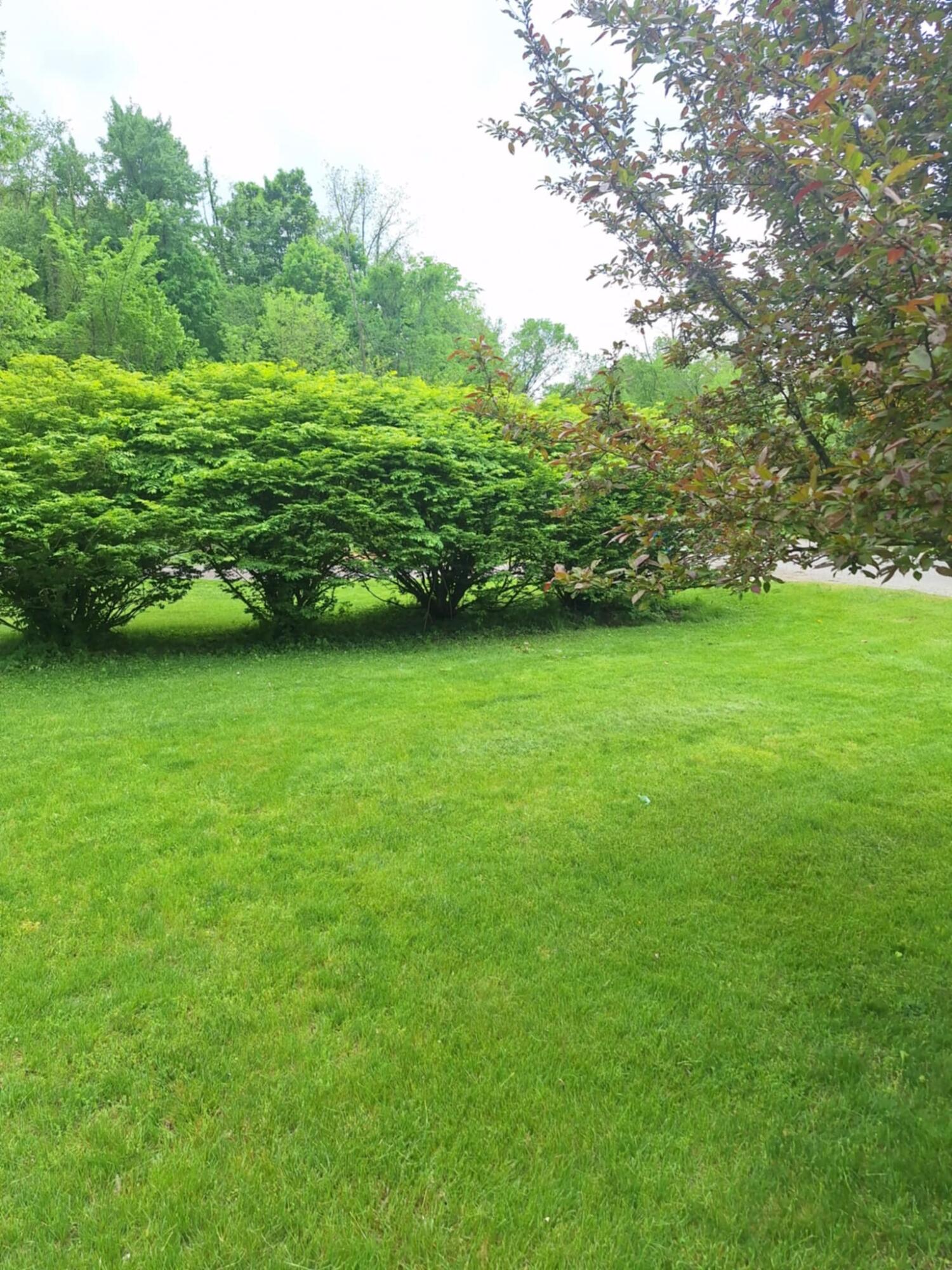 5211 Long Lake Road Reading, MI 49274 - Photo 100 of 107 att.4UYwRPOnZY-_9kRG_rCvNXT9zmCQFvMaq5zN