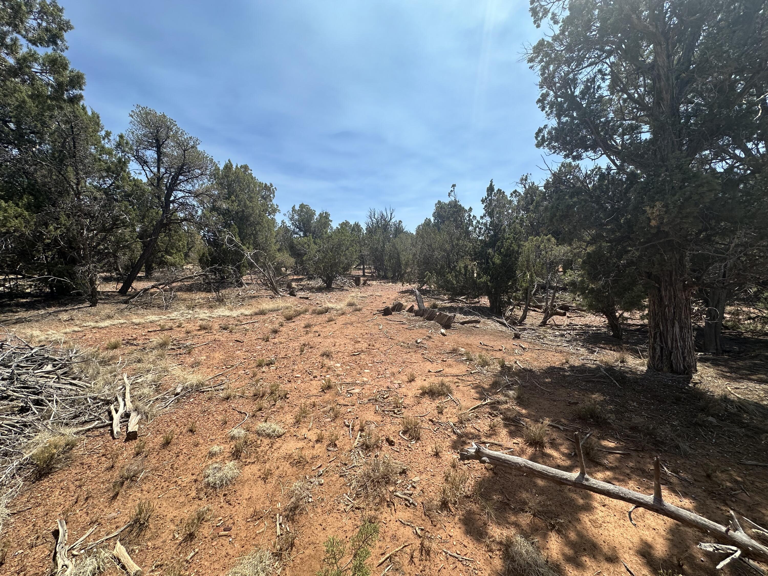 Lot #2 Power Line Road Pinetop, AZ 85935 - Photo 5 of 9