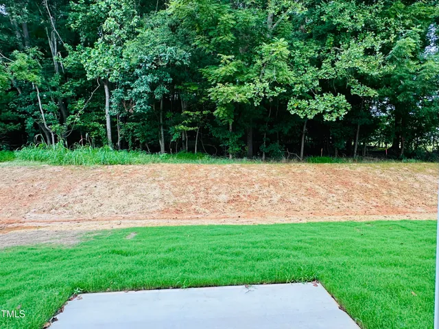 a backyard of a house with lots of green space