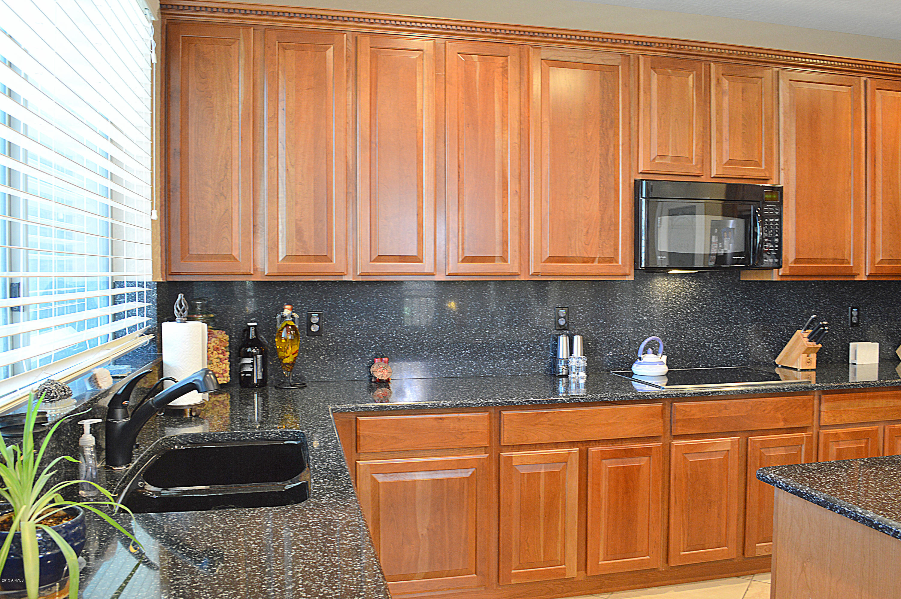 2204 West Apache Rain Road Phoenix, AZ 85085 - Photo 14 of 48 DSC_0800