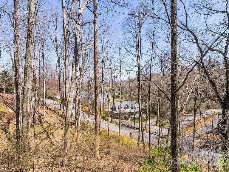 254 Tillman Road Lake Junaluska, NC 28745 - Photo 5 of 26