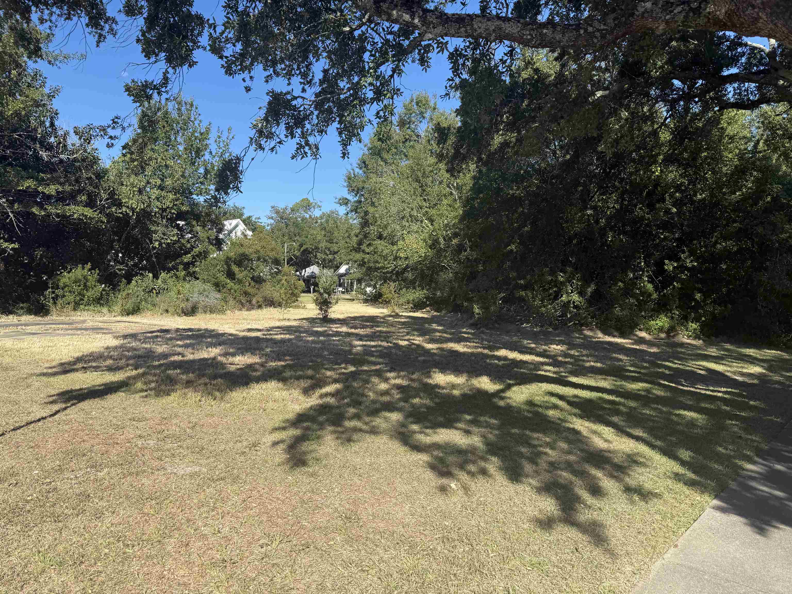 0 North Alston Street Foley, AL 36535 - Photo 1 of 4